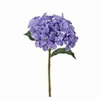 Hortensia violet 28 cm
